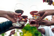 © NanSan - Home Garden BBQ Party, Wine Glasses Clink in Family Toast, enjoying harvest time together outside at front of house, grandfather and grandfather asian people, man and woman