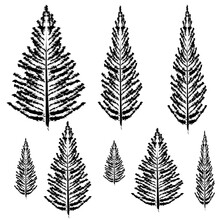 Hand Drawn Forest Pine Trees Black And White