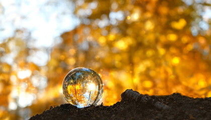 magic crystal ball in autumn forest, bright natural abstract background. beautiful fall landscape. c