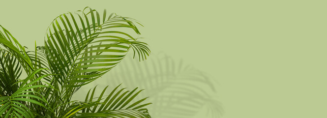 Wall Mural - palm leaves on a light green