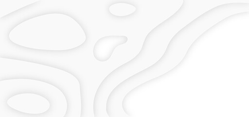 Poster - abstract curve line white background. soft smooth lines curving abstract white paper cut banner. geo