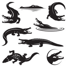 Collection Of Crocodile Icons Isolated On White Background