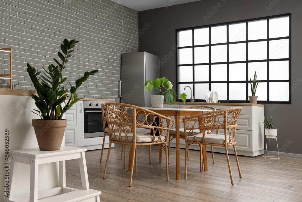 Interior of modern kitchen decorated with different houseplants
