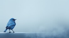  A Blue Bird Sitting On Top Of A Metal Pole In The Fog.  Generative Ai