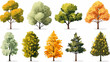 autumn trees, set of vector illustrations of cute trees and shrubs: oak, birch, aspen, linden, fir, sun and dog, different shapes of trees in autumn colors. Isolated on white background.