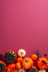 Wall Mural - Conjure Halloween enchantment. Vertical top view snapshot of themed decor: pumpkins, sinister spiders, spiderweb, centipede on crimson red color backdrop. Empty space for text or promo