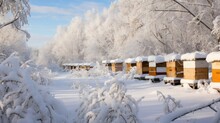 Bee Hives Blanketed In Snow During The Winter Season. The Hives, Nestled In A Tranquil Snowy Landscape, Convey The Quiet Beauty Of Nature In Hibernation.