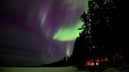 Wall Mural - view of bright green and purple aurora in a star filled sky. the foreground includes a snow-covered 