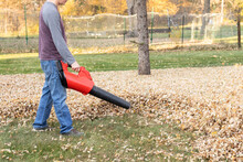 Man Blowing Leaves In The Backyard. Man Using Cordless Leaf Blower. Autumn Leaves