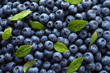 Poster - Wet fresh blueberries with green leaves as background, top view