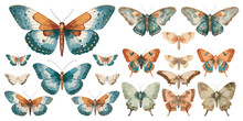 Watercolor Flying Moth Clipart For Graphic Resources
