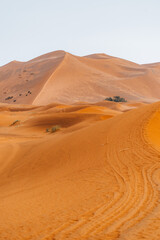 Sand texture in Morocco Sahara Merzouga Desert after a rainy day