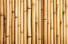 Row Of Bamboo Trunks As A Fence