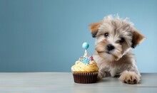 Happy Dog With Cupcake