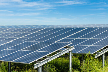 Wall Mural - Photovoltaic panels for renewable electrical energy production in Taiwan.