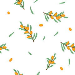 Wall Mural - Vector seamless floral pattern with branches and sea buckthorn berries