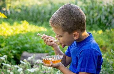 Wall Mural - boy eats honey in nature, homemade honey. Selective focus