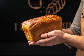 Wall Mural - Wheat square bread in hands, domestic cozy bakery pastry. Healthy food concept. place for text