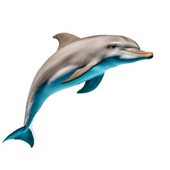 Wall Mural - dolphin jumping on white background.