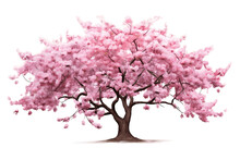 Cherry Blossom Tree On Transparent Background. Generative Ai.