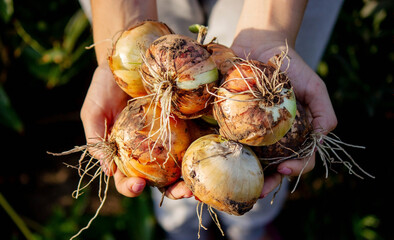 Poster - the farmer girl holds an onion in her hands. Selective focus