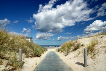 Wall Mural - Weg zum Meer