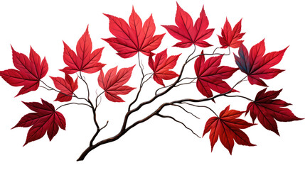 Wall Mural - Red maple leaves on a tree branch in autumn isolated on transparent