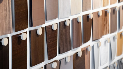 Wall Mural - set of wood samples board hanging on material swatch wall display in material library. wooden lamina