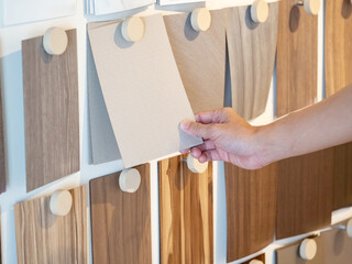 Wall Mural - Designer hand picking wood samples board from material swatch wall display in material library. Choosing wooden laminate texture in beige tone collection for interior architecture or furniture design