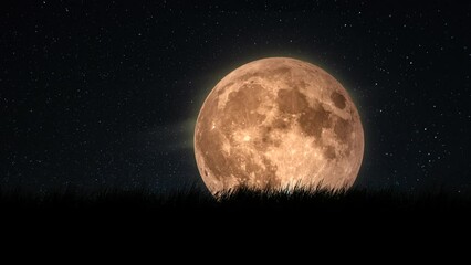 Wall Mural - Amazing full moon rising above the horizon with starry sky and grass. 