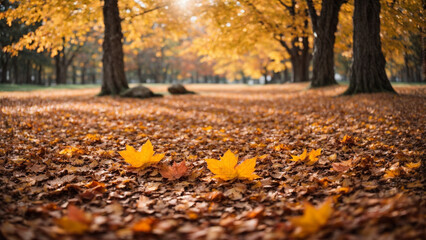 Wall Mural - Beautiful autumn landscape with. Colorful foliage in the park. Falling leaves natural background