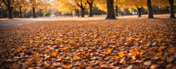 Canvas Print - Beautiful autumn landscape with. Colorful foliage in the park. Falling leaves natural background