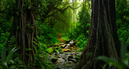 Canvas Print - Deep tropical jungles of Southeast Asia