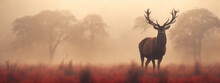 Red Deer Stag Silhouette In The Mist