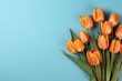 tulips on blue background, copy space