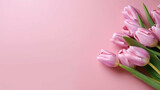 Fototapeta Tulipany -  Pink tulips on a pink background