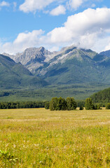 Wall Mural - Picturesque mountain landscape with yellowed meadow and a rocky mountain ridge against background of blue sky with clouds on sunny day in early autumn. Eastern Sayan Mountains, Tunka valley, Buryatia