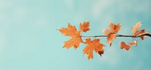 Minimal Zen Style Backdrop Of One Dry Yellow Maple Leaves On Branch, Generative Ai	
