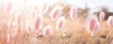 Pink Grass Field Look Like Pampas Grass In Romantic Atmosphere, Generative Ai