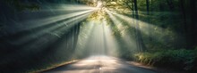Countryside Forest Road With Sunlight Ray Shine Through Tree Canopy, Generative Ai