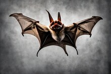Halloween Bat Flying
