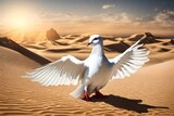 Fototapeta Sport - dove in the desert