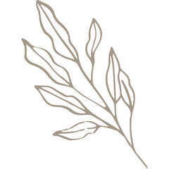 Wall Mural - Hand-drawn Linear Plant / Twig / Branch 