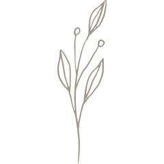 Wall Mural - Hand-drawn Linear Plant / Twig / Branch with Berries