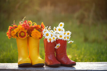 Poster - Yellow and red rubber boots with flowers in garden, natural abstract background. symbol of summer end, autumn season beginning. rustic composition with seasonal flowers.