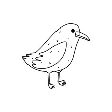 Cute Bird. Hand Drawn Doodle Style. Vector Illustration Isolated On White. Coloring Page.