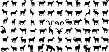 Goat Vector Illustration Collection - A Stunning Black And White Collection Of Various Goat Silhouettes. Perfect For Farm, Nature, And Animal-themed Designs.