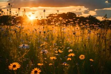 The Heart Of A Tranquil Meadow At Sunset, Where Wildflowers Sway Gently In The Warm Breeze