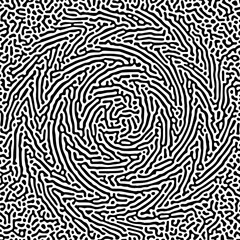 Poster - Vector-illustrated turing pattern with chaotic curved details in white and black. Circular zigzag pattern diffusion

Vector Formats 