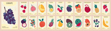 Fruit Label. Food Price Stickers. Tropical Pineapple Or Banana. Grocery Covers For Vegan. Vegetable Shop. Grape Costs And Calories. Vitamin Diet Package. Vector Market Posters Design Set